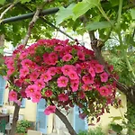 Bed & Breakfast Cascina Marie