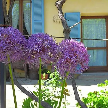 Cascina Marie Bed & Breakfast