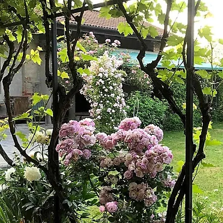 Bed & Breakfast Cascina Marie 3*