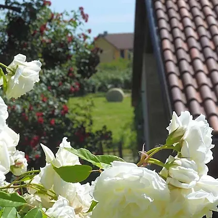 Cascina Marie Bed & Breakfast
