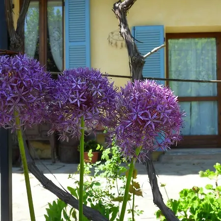 Cascina Marie Nocleg ze śniadaniem