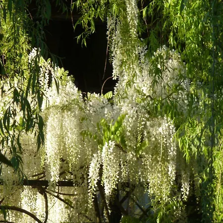 Cascina Marie 3* Bricherasio