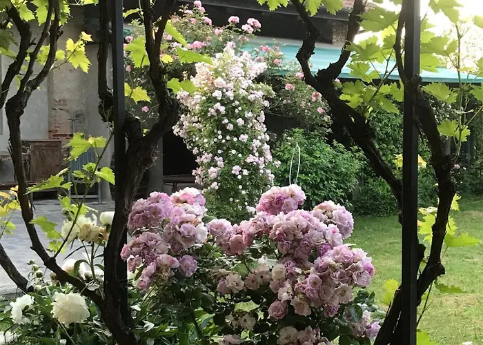 ベッド・アンド・ブレックファスト Cascina Marie 3*